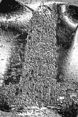 Concurso  "&iquest;d&oacute;nde estamos?"